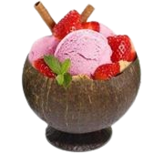 Coconut bowl