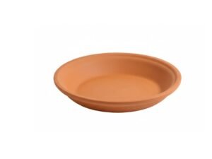 Eco-friendly oval tray