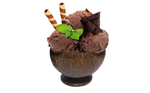 Handmade Coconut Shell Ice Cream Bowl – Eco-Friendly, Reusable & Biodegradable Dessert Serving Cup - Image 2