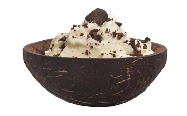 Handmade Coconut Shell Oval Bowl