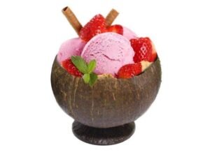 Coconut Shell Ice Cream Bowl