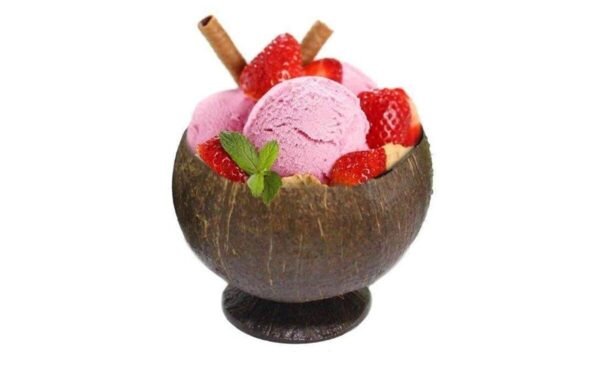 Coconut Shell Ice Cream Bowl