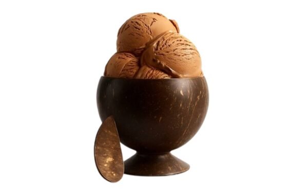 Coconut Shell Ice Cream Cup