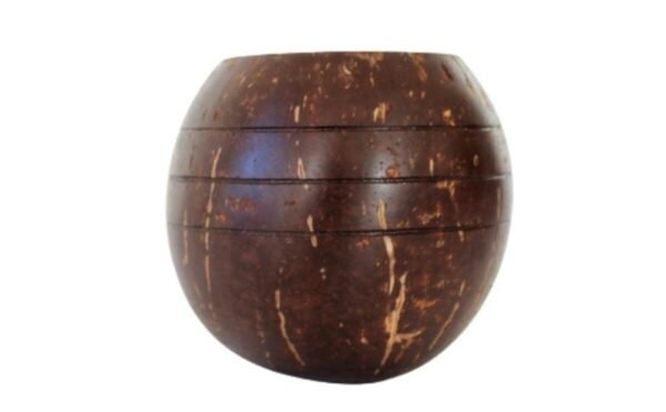 Coconut Planter Pot