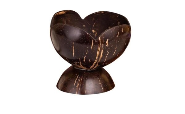 Coconut Shell Decorative Pot – Large Handmade Eco-Friendly Natural Planter, Biodegradable Flower Vase & Sustainable Home Decor Container - Image 2
