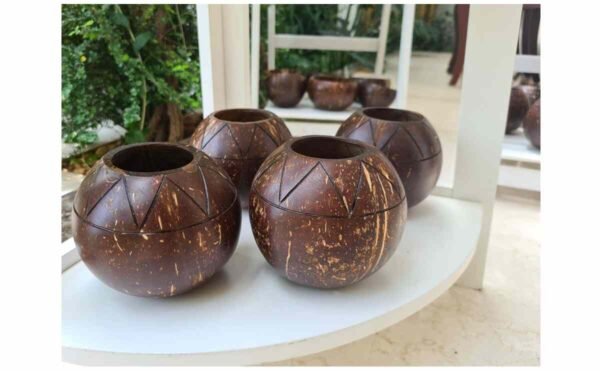 Coconut Planter Pot – Natural Handmade Eco-Friendly Plant Pot for Indoor & Outdoor Gardening, Succulents, and Home Decor 300ml to 600 ml - Image 2