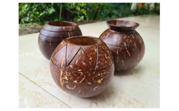 Coconut Planter Pot – Natural Handmade Eco-Friendly Plant Pot for Indoor & Outdoor Gardening, Succulents, and Home Decor 300ml to 600 ml - Image 3