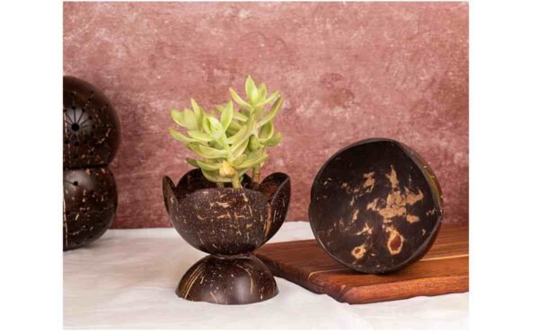 Coconut Shell Decorative Pot – Large Handmade Eco-Friendly Natural Planter, Biodegradable Flower Vase & Sustainable Home Decor Container - Image 4