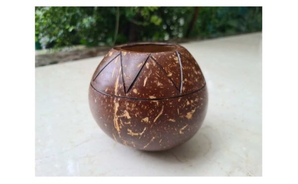 Coconut Planter Pot – Natural Handmade Eco-Friendly Plant Pot for Indoor & Outdoor Gardening, Succulents, and Home Decor 300ml to 600 ml - Image 4
